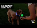 GlowStreak® LED Ball - Disc-O