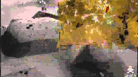 Oraclescape-Darkmanzer on Tour