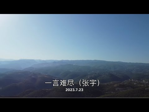 #口琴 張宇《一言難盡》