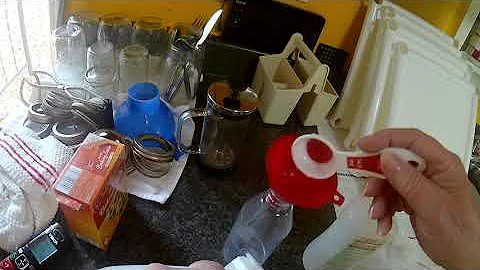 DIY window cleaner 2022