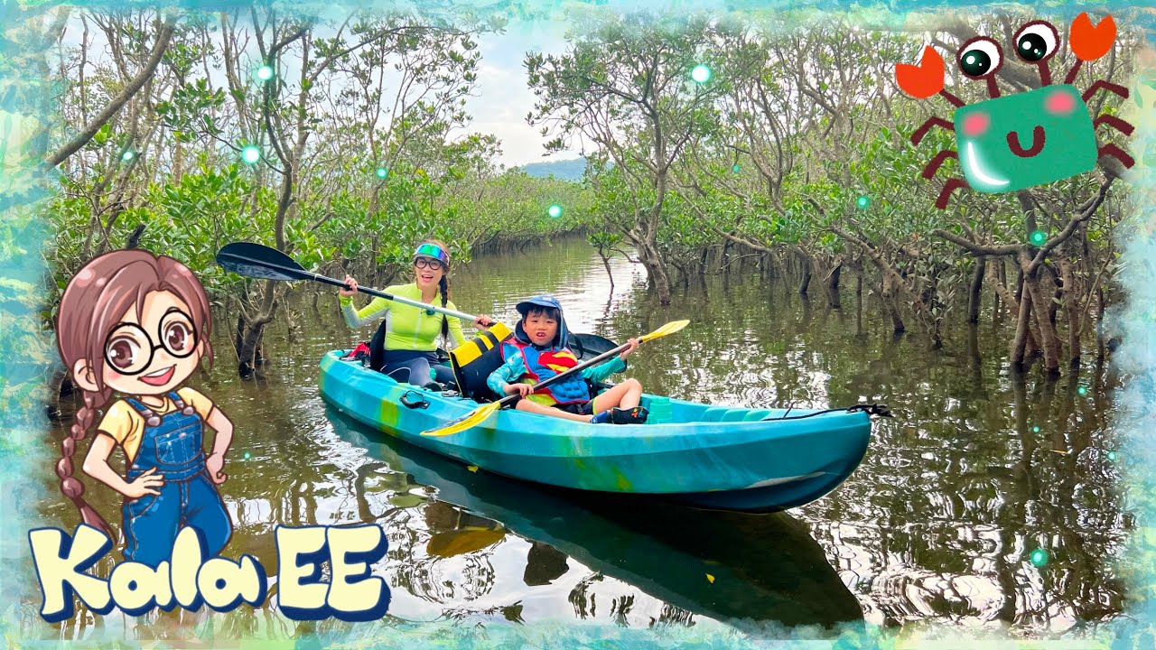 獨木舟|汀角東海岸|八仙嶺|Learning the nature from kayaking with Kala EE|紅樹林|大埔好去處|大美督|廣東話教學|兒童中文學習|環境保育|大自然親子學習