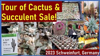 Tour of 2023 CACTUS & SUCCULENT SALE by Schweinfurt Branch, German Cactus Society #cacti #succulents