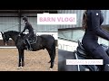 Back in England barn vlog! Dressage Training and more...