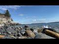 Coastal Maine relaxation