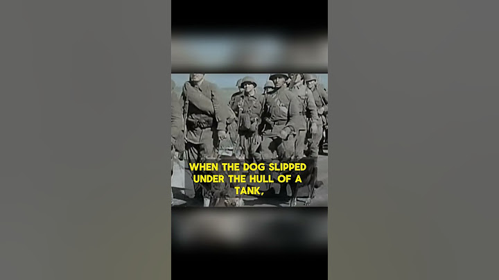 The Soviet Suicide Dogs: WWII's Desperate Anti-Tank Strategy #world #history #war