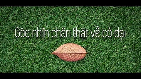 Cỏ dại và sứ mệnh của nó | Nông nghiệp sinh thái