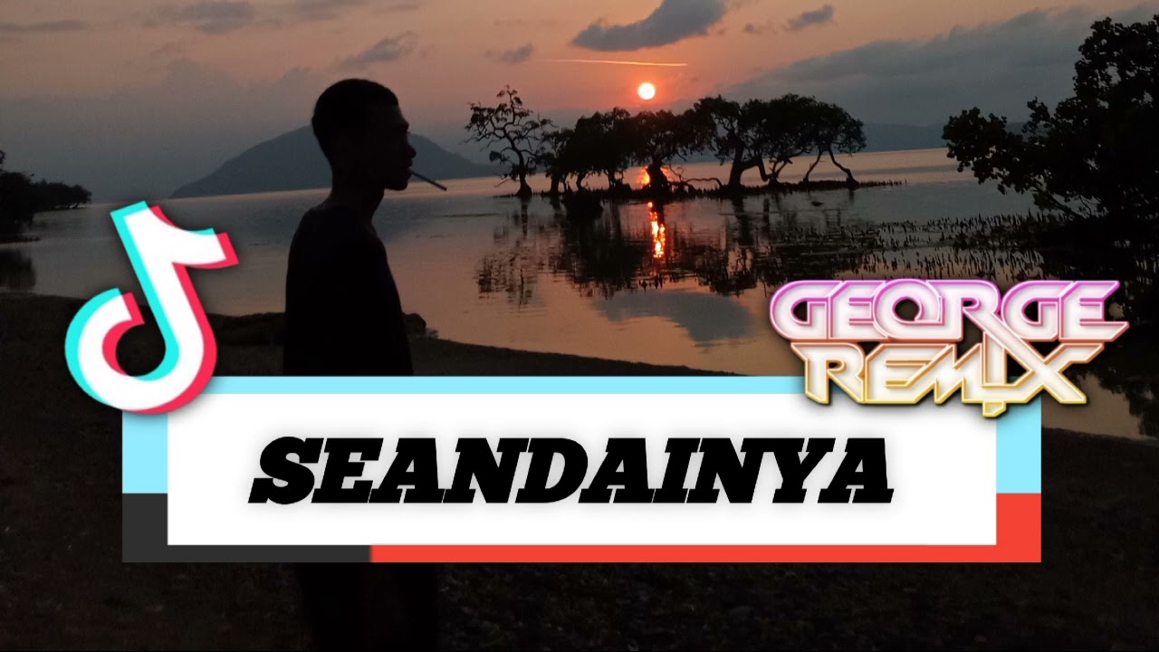 DJ SEANDAINYA FYP 2025!!! (GEORGE REMIX X MELON)