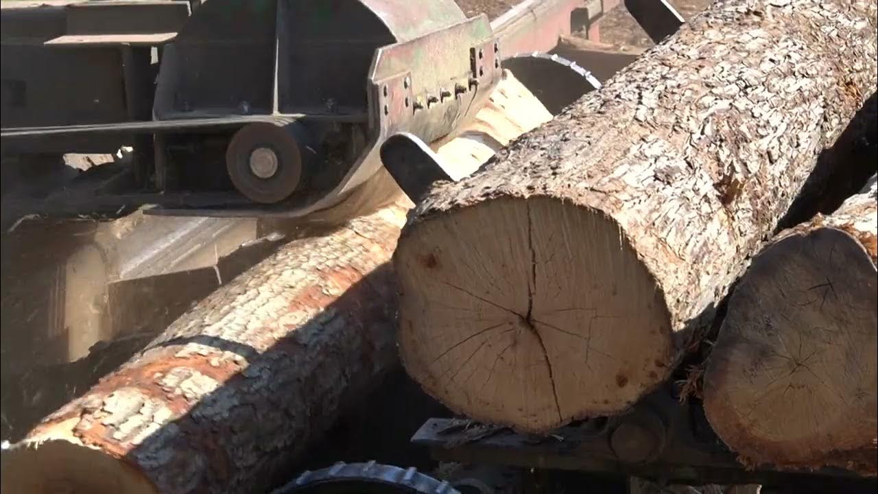 301 Mellott 48" Rosser Head Debarker for sale YouTube