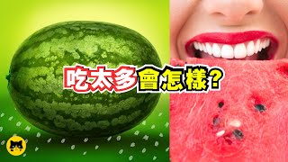 西瓜吃太多會怎樣？什麼副作用？ 喵一下Youtube