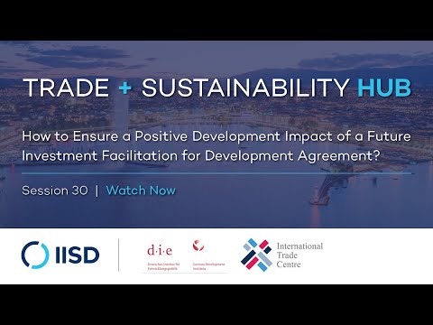 Webinar | How to Ensure a Positive Development Impact of a Future IFD Agreement