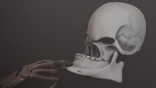 Скелет Делает Мьюинг. (Mewing) (3Д-Анимация)