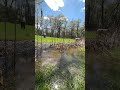 Flooded yard fun.
