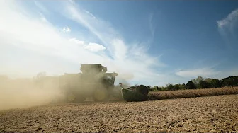 Tariffs, trade war and woes for Wisconsin's soybean farmers | Here & Now