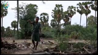 DVB - ထန္းသမားရုုပ္သံမွတ္တမ္း