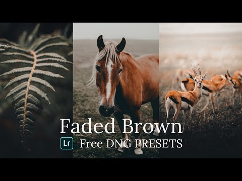 Make your photos POP with ONE CLICK using LIGHTROOM PRESETS! | FREE !!! LIGHTROOM PRESET DNG