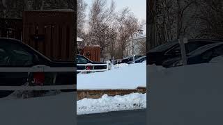 IMG 5279