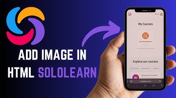 Learn How to Add Images to HTML in Sololearn - Here