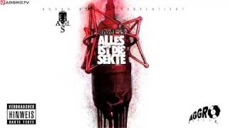 ROYAL TS (SIDO & B-TIGHT) SCHLAMPEN - ALLES IST DIE SEKTE - ALBUM - TRACK 26