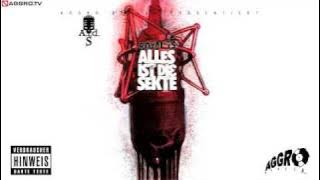 ROYAL TS (SIDO & B-TIGHT) SCHLAMPEN - ALLES IST DIE SEKTE - ALBUM - TRACK 26