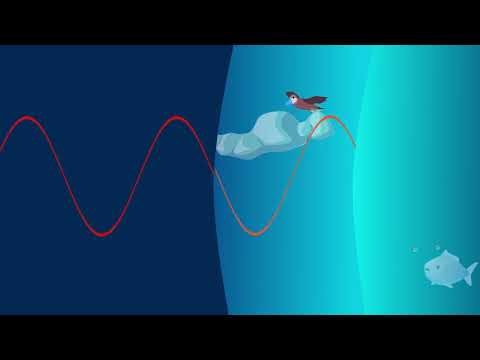 Video: Was ist ein Beispiel für ein elektromagnetisches Spektrum?