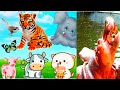 Animals sounds- Domestic &amp; Wild Animal/Learn Family Animals sounds- cow,cat,pig,zoo dinosaur, duck