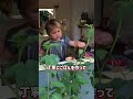📌 親なら必ず見たい 子どもの遊び