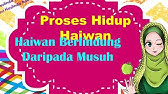 istilah sains tahun 5