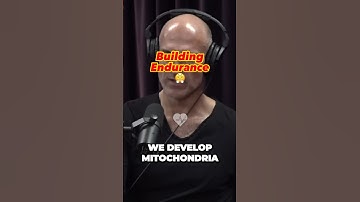 The secret to building endurance and optimizing cardio | Paval Satsouline