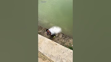 #Forgive my unkind smile#Laugh every time you watch it#An unexpected ending