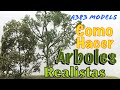 🌳🌱ÁRBOLES para MAQUETA Escala HO (1:87)🍃