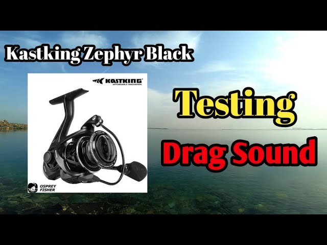 FIELD TESTING EP06  Kastking Zephyr Black Spinning Reel Actual footage  Drag Scream ! 