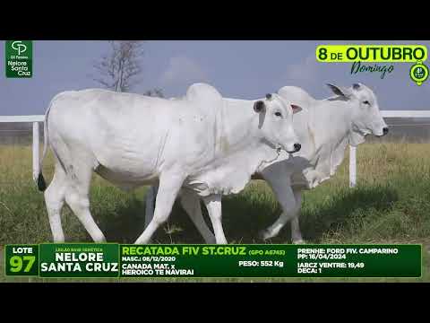 LOTE 97   GPO A6745 E 6938