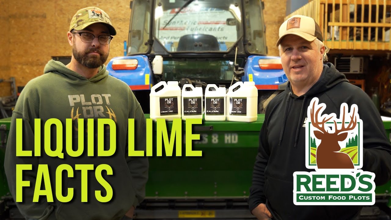 Жидкая известь — работает ли она?