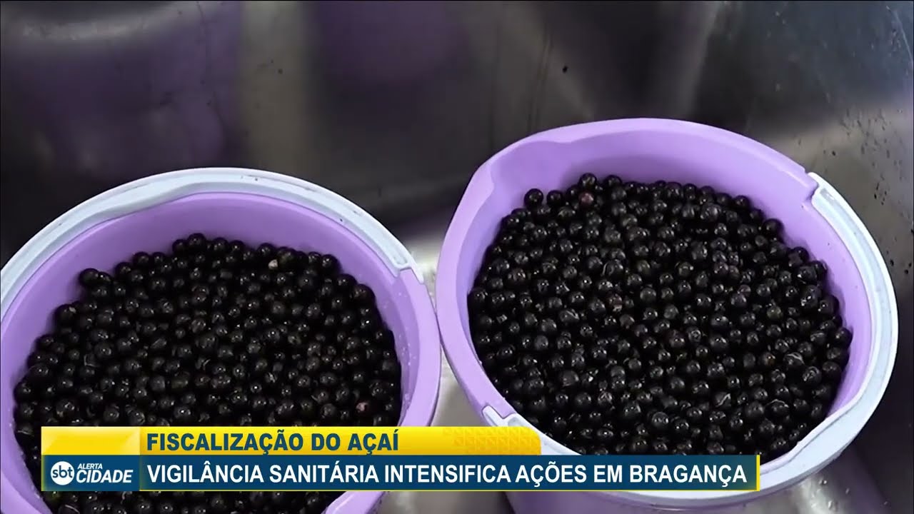 FISCALIZAÇÃO DO AÇAÍ: VIGILÂNCIA SANITÁRIA INTENSIFICA AÇÕES EM BRAGANÇA