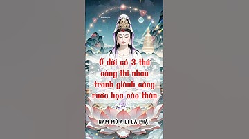 Ở đời có 3 thứ càng thi nhau tranh giành càng rước họa vào thân #adidaphat #loiphatday