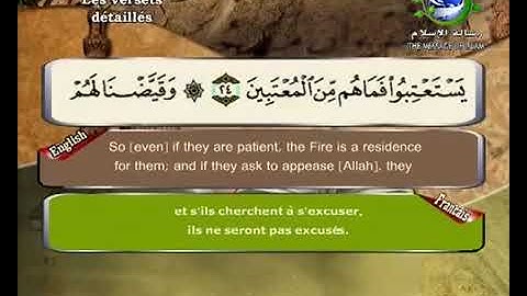 سورة فصلت  مترجم بالفرنسية و الإنجليزية  القارئ سعد الغامدي saad elghamedi قران كريم Holy quran