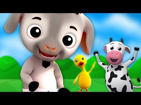 Bebê Cabra | Rima De Berçário | Miúdos Canções | Baby Goat | Kids Baby Club Portuguese