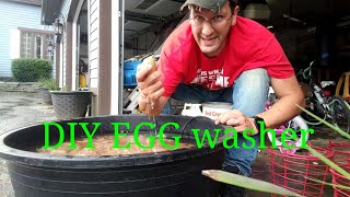 How to wash farm fresh eggs