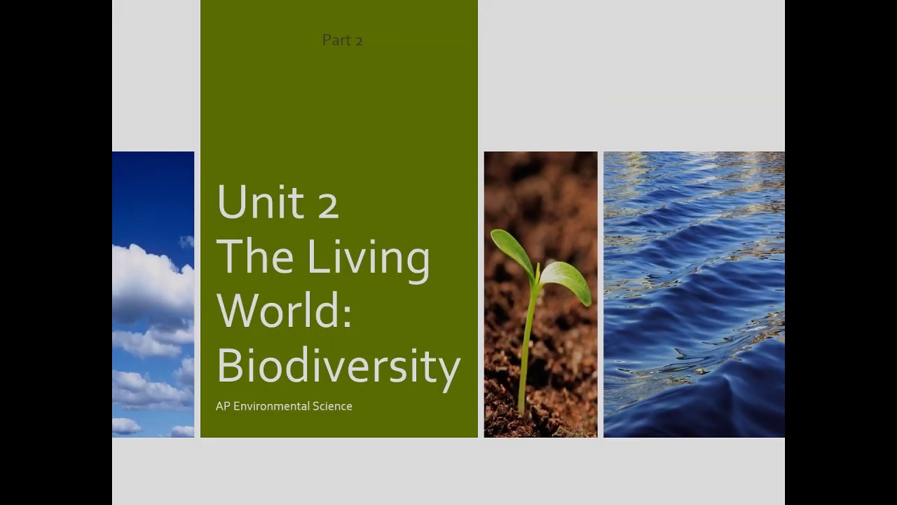 APES Unit 2 Lecture Part 2 5 YouTube apes-unit-2-lecture-part-2-5-youtube