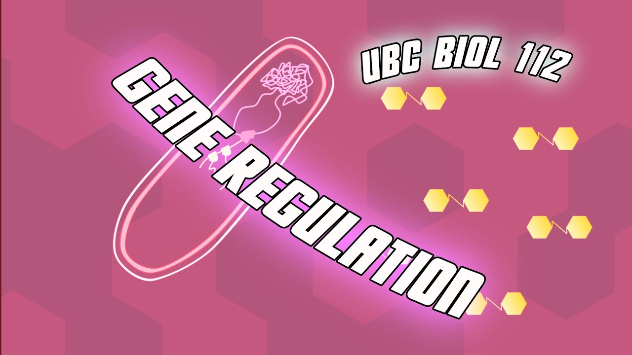 Gene Regulation - Biol 112 at UBC