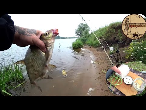 Видео: КАК ЛОВИТЬ ЛЕЩА В НЕЗНАКОМОМ МЕСТЕ,Главное правильный подход,РЫБАЛКА НА ДОНКИ С УТРА.