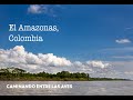 Documental AMAZONÍA COLOMBIANA, Caminando entre las Aves