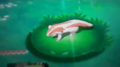 RANDOM SHINY LINOONE