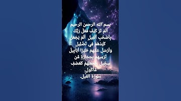 سورة الفيل بصوت اسلام صبحي ♥️