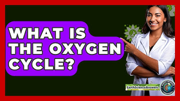 What Is The Oxygen Cycle? - Earth Science Answers