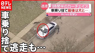 【1時間半の“逃走劇”】カーチェイスから車乗り捨てダッシュも…  アメリカ・テキサス州 screenshot 4