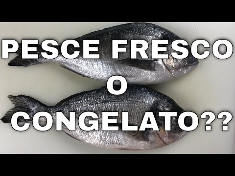 Video: Come Dare Il Pesce A Tuo Figlio