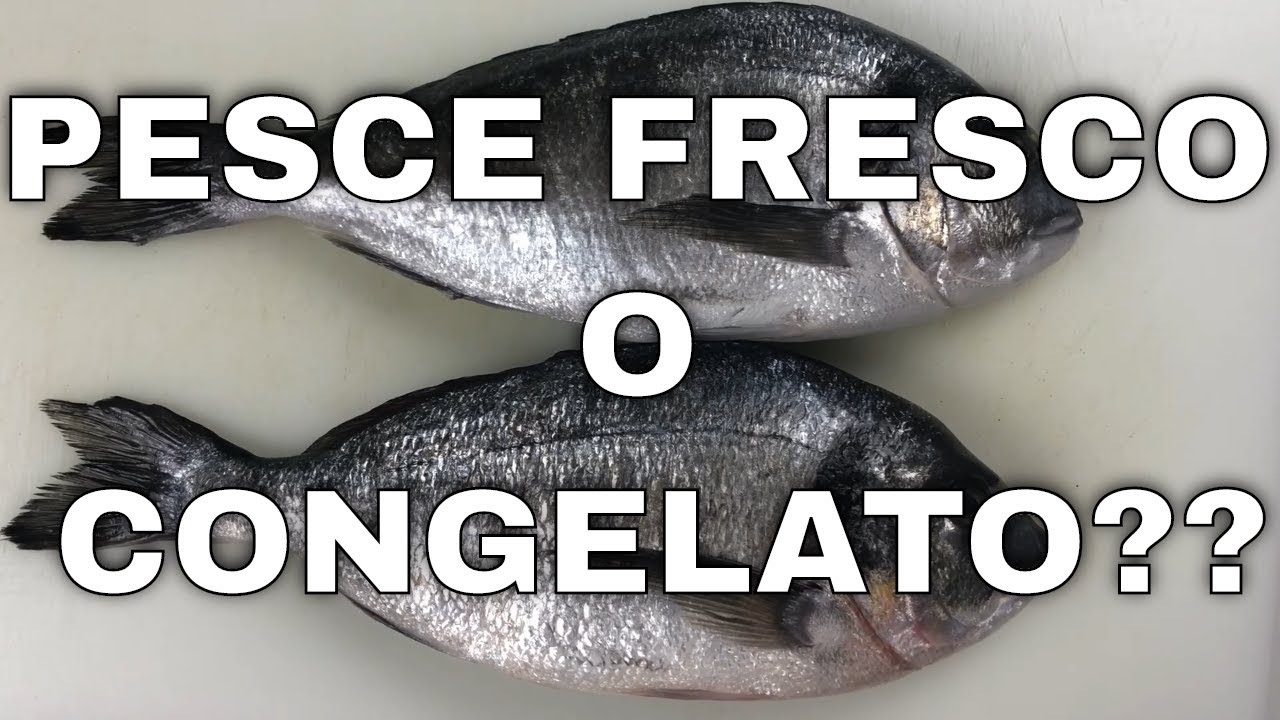 Come riconoscere il pesce fresco da quello congelato 