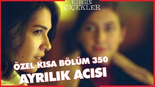 Kırgın Çiçekler Özel Kısa Bölümler | 350