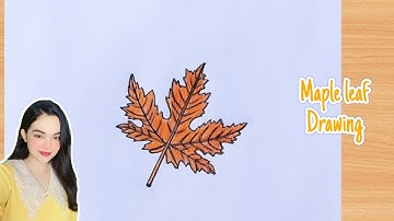 How To Draw A Maple Leaf Very Easy And Step By Step | Leaf Drawing easy